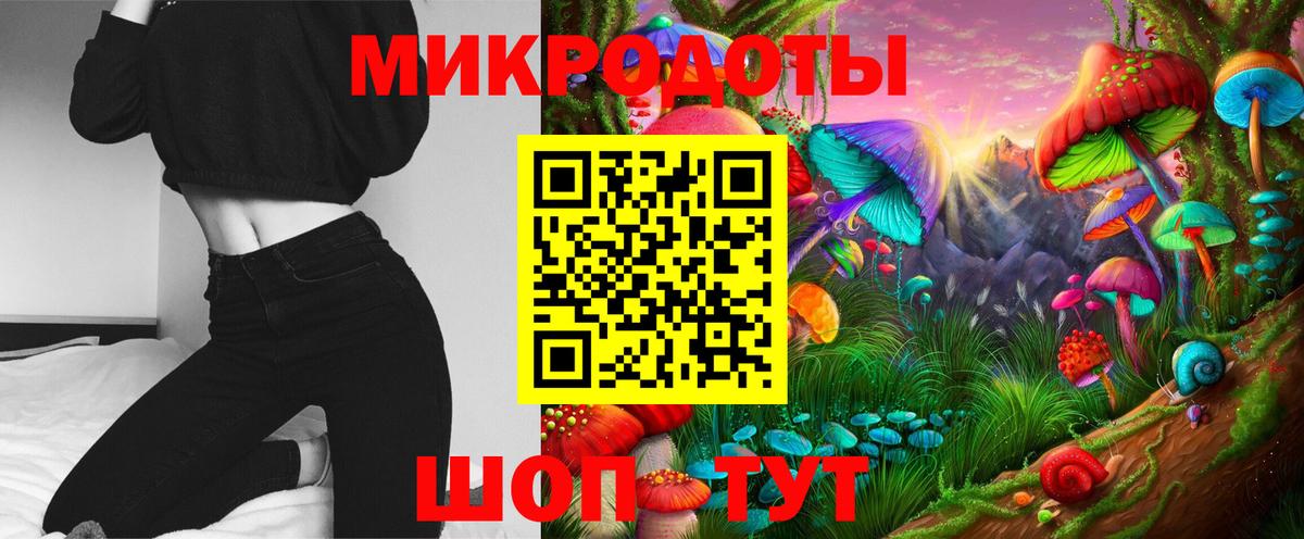 Галлюциногенные грибы мицелий  купить наркотики цена  Зерноград  Вход с VPN 